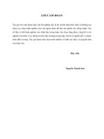 (Luận văn thạc sĩ) các yếu tố tác động đến quyết định lựa chọn phương tiện metro của người dân trên địa bàn thành phố hồ chí minh 