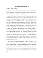 Tải Tập làm văn lớp 4: Tả cây si - 4 bài văn mẫu tả cây si cổ thụ