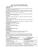 Tải Giáo án Địa lý lớp 9 bài 7: Các nhân tố ảnh hưởng đến sự phát triển và phân bố nông nghiệp - Giáo án điện tử môn Địa lí 9
