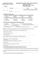 Tải Đề thi giữa học kì 1 môn Tiếng Anh lớp 11 trường THPT Lý Thái Tổ, Bắc Ninh năm học 2016 - 2017 có đáp án - Đề kiểm tra học kì 1 môn Tiếng Anh 11 có đáp án