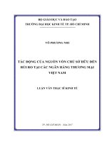 (Luận văn thạc sĩ) tác động của nguồn vốn chủ sở hữu đến rủi ro của các ngân hàng thương mại việt nam 