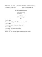 Tải Đề kiểm tra học kì 1 môn Công nghệ lớp 6 năm 2014 - 2015 trường THCS Thị Trấn Trảng Bàng, Tây Ninh - Đề thi học kì I môn Công nghệ lớp 6 có đáp án