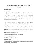 Tải Giáo án Địa lý 9 bài Vùng Đồng Bằng Sông Cửu Long (tiếp) - Giáo án điện tử địa lý 9