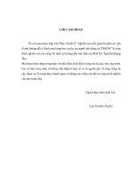 (Luận văn thạc sĩ) nghiên cứu mối quan hệ  giữa các yếu tố ảnh hưởng đến ý định mua hàng trực tuyến của người tiêu dùng tại TP HCM 