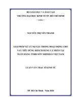 (Luận văn thạc sĩ) giải pháp xử lý nợ xấu trong hoạt động cho vay tiêu dùng khách hàng cá nhân tại ngân hàng TNHH MTV shinhan việt nam 