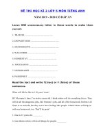 Tải Đề thi tiếng Anh lớp 5 học kì 2 năm 2019 - 2020 số 2 - Đề tiếng Anh lớp 5 học kì 2 có đáp án