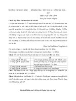 Tải Đề kiểm tra 1 tiết học kì 2 môn Ngữ văn lớp 7 trường THCS Cát Bình, Nghệ An năm học 2016 - 2017 - Đề kiểm tra giữa học kì II môn Ngữ văn lớp 7 có đáp án