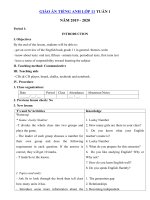 Tải Giáo án tiếng Anh lớp 11 Tuần 1 sách mới - Giáo án điện tử môn tiếng Anh 11 theo tuần