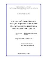 (Luận văn thạc sĩ) các nhân tố ảnh hưởng đến hiệu quả hoạt động kinh doanh của các ngân hàng thương mại trên địa bàn tỉnh long an 