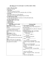 Tải Giáo án Địa lý 11 bài: Xử lí số liệu và công thức tính - Giáo án điện tử môn Địa lý lớp 11