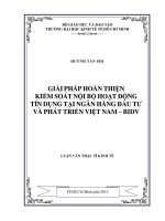 (Luận văn thạc sĩ) giải pháp hoàn thiện kiểm soát nội bộ hoạt động tín dụng tại ngân hàng đầu tư và phát triển việt nam   BIDV 