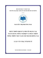 (Luận văn thạc sĩ) phát triển dịch vụ phi tín dụng tại ngân hàng nông nghiệp và phát triển nông thôn việt nam chi nhánh đồng nai 