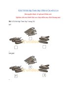 Tải Giải vở bài tập Toán lớp 1 trang 10, 11 - Các số 4, 5, 6