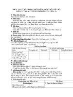 Tải Giáo án Địa lý lớp 8 bài 6: Thực hành phân tích lược đồ phân bố dân cư và các thành phố lớn của Châu Á - Giáo án điện tử môn Địa lý lớp 8