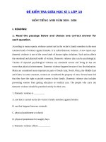 Tải Đề ôn thi giữa kì 1 lớp 10 môn tiếng Anh năm 2019 - 2020 - Đề kiểm tra tiếng Anh 10 mới có đáp án