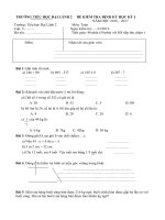 Tải Đề thi học kì 1 môn Toán lớp 3 trường tiểu học Đại Lãnh 2, Khánh Hòa năm 2016 - 2017 - Đề kiểm tra học kì 1 lớp 3 môn Toán có đáp án