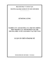 (Luận văn thạc sĩ) nghiên cứu ảnh hưởng của truyền thông tiếp thị đến các thành phần giá trị thương hiệu nước giải khát tại việt nam 