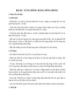 Tải Giáo án Địa lý 9 bài 20: Vùng Đồng bằng sông Hồng - Giáo án điện tử Địa Lý lớp 9