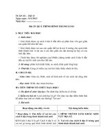 Tải Giáo án Sinh học 12 bài 29: Qúa trình hình thành loài - Giáo án điện tử môn Sinh học lớp 12