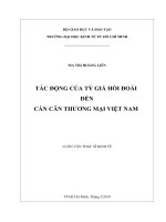 (Luận văn thạc sĩ) tác động của tỷ giá hối đoái đến cán cân thương mại việt nam 