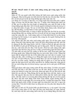 Tải Thuyết minh về món canh măng móng giò trong ngày Tết cổ truyền - Bài văn mẫu lớp 8