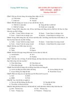 Tải Đề cương ôn tập học kì 1 môn Tin học lớp 12 năm học 2016 - 2017 - Câu hỏi trắc nghiệm môn Tin học lớp 12 có đáp án