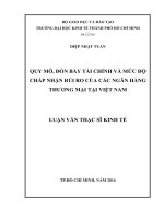 (Luận văn thạc sĩ) quy mô, đòn bẩy tài chính và mức độ chấp nhận rủi ro của các ngân hàng thương mại tại việt nam 