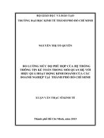 (Luận văn thạc sĩ) đo lường mức độ phù hợp của hệ thống thông tin kế toán trong mối quan hệ với hiệu quả hoạt động kinh doanh của các doanh nghiệp tại thành phố hồ chí minh 