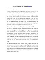 Tải Top các bài văn mẫu Tả cây phượng, hoa phượng hay nhất - Tả cây phượng, hoa phượng lớp 4, 5