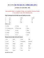 Tải Đề cương tiếng Anh lớp 3 học kì 1 năm 2020 - 2021 - Bài tập học kì 1 lớp 3 môn tiếng Anh có đáp án