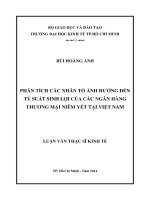 (Luận văn thạc sĩ) phân tích các nhân tố ảnh hưởng đến tỷ suất sinh lợi của các ngân hàng thương mại niêm yết tại việt nam 