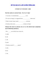 Tải Đề thi học kì 2 môn tiếng Anh lớp 8 năm 2019 - 2020 số 3 - Đề thi tiếng Anh lớp 8 học kì 2 có đáp án