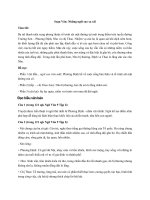 Tải Soạn Văn 9 bài Những ngôi sao xa xôi - Soạn bài lớp 9 tập 2