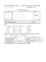Tải Đề Giao lưu Học sinh giỏi Tiếng Anh lớp 5 huyện Quảng Xương, Thanh Hóa - Đề giao lưu Học sinh giỏi Tiếng Anh tiểu học lớp 5