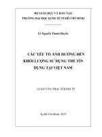 (Luận văn thạc sĩ) các yếu tố ảnh hưởng đến khối lượng sử dụng thẻ tín dụng tại việt nam 