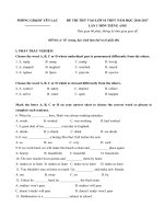 Tải Đề thi thử vào lớp 10 môn Tiếng Anh năm học 2016 - 2017 Phòng GD-ĐT Yên Lạc, Vĩnh Phúc (Lần 1) - Đề thi thử vào lớp 10 môn Tiếng Anh có đáp án