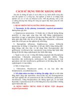 Bài giảng bộ môn Dược lý học: Cách sử dụng thuốc kháng sinh