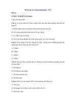 Tải Đề thi học kì 2 lớp 8 môn Địa lý - Đề 5 - Đề thi trắc nghiệm hk 2 môn Địa lý lớp 8 có đáp án