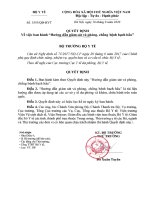 Tải Hướng dẫn giám sát và phòng, chống bệnh bạch hầu - HoaTieu.vn