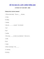 Tải Đề thi học kì 2 lớp 3 môn tiếng Anh năm 2019 - 2020 số 5 - Đề tiếng Anh lớp 3 học kì 2 có đáp án