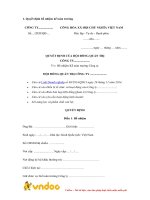 Tải Mẫu quyết định bổ nhiệm chức vụ - HoaTieu.vn