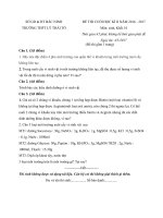 Tải Đề thi học kì 2 môn Sinh học lớp 10 trường THPT Lý Thái Tổ, Bắc Ninh năm học 2016 - 2017 - Đề kiểm tra học kỳ II môn Sinh lớp 10 có đáp án