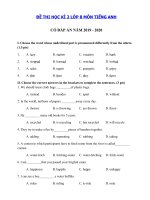 Tải Đề kiểm tra tiếng Anh lớp 8 học kì 2 năm 2019 - 2020 số 4 - Đề thi tiếng Anh lớp 8 học kì 2 có đáp án