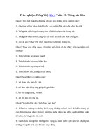 Tải Trắc nghiệm Tiếng Việt lớp 4 Tuần 15: Tiếng sáo diều - Giải bài tập Tiếng Việt lớp 4