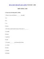 Tải Đề thi thử giữa kì 1 lớp 8 môn tiếng Anh năm 2019 - 2020 - Đề kiểm tra tiếng Anh 8 cũ có đáp án