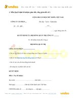 Tải Mẫu Quyết định bổ nhiệm giám đốc, tổng giám đốc - HoaTieu.vn