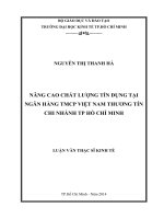 (Luận văn thạc sĩ) nâng cao chất lượng tín dụng tại ngân hàng thương mại cổ phần việt nam thương tín   chi nhánh TP  HCM 