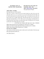 Tải Đề thi giữa học kì 1 lớp 10 môn Ngữ văn Trường THPT Thạnh Hóa, Long An năm 2020 - 2021 - Đề kiểm tra giữa học kì 1 lớp 10 môn Văn