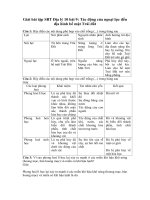 Tải Giải bài tập SBT Địa lý 10 bài 9: Tác động của ngoại lực đến địa hình bề mặt Trái đất - Giải bài tập môn Địa lý lớp 10