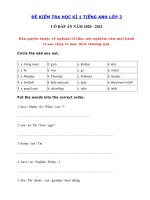 Tải Đề thi tiếng Anh lớp 3 học kì 1 năm 2020 - 2021 số 2 - Đề thi học kì 1 lớp 3 môn tiếng Anh có đáp án